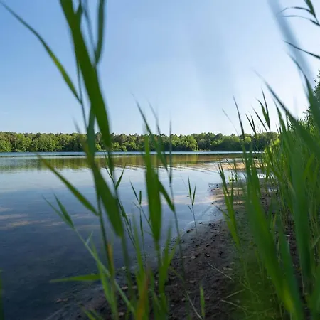 בית נופש Seevilla Am Mit Sauna, Kamin, Privatem Steg Und Seezugang Barssel (Cloppenburg)