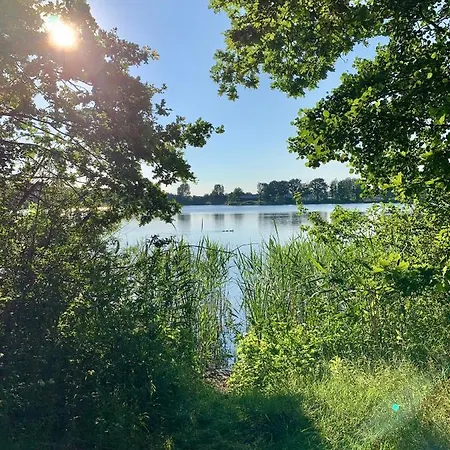 Seevilla Am Mit Sauna, Kamin, Privatem Steg Und Seezugang Barssel (Cloppenburg)