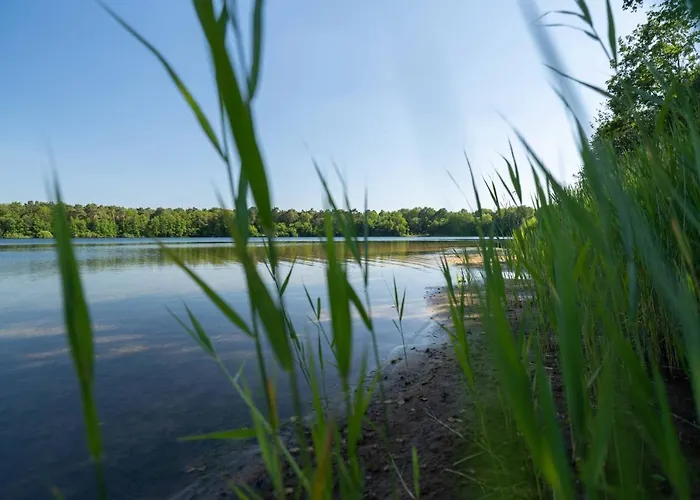 펜션 Seevilla Am Mit Sauna, Kamin, Privatem Steg Und Seezugang Barssel (Cloppenburg)