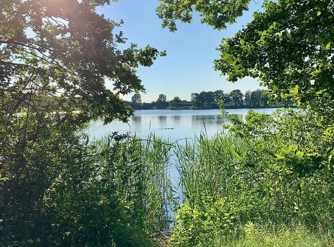 Seevilla Am Mit Sauna, Kamin, Privatem Steg Und Seezugang Barssel (Cloppenburg)